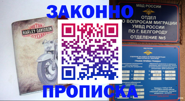 прописка для школы в Дигоре